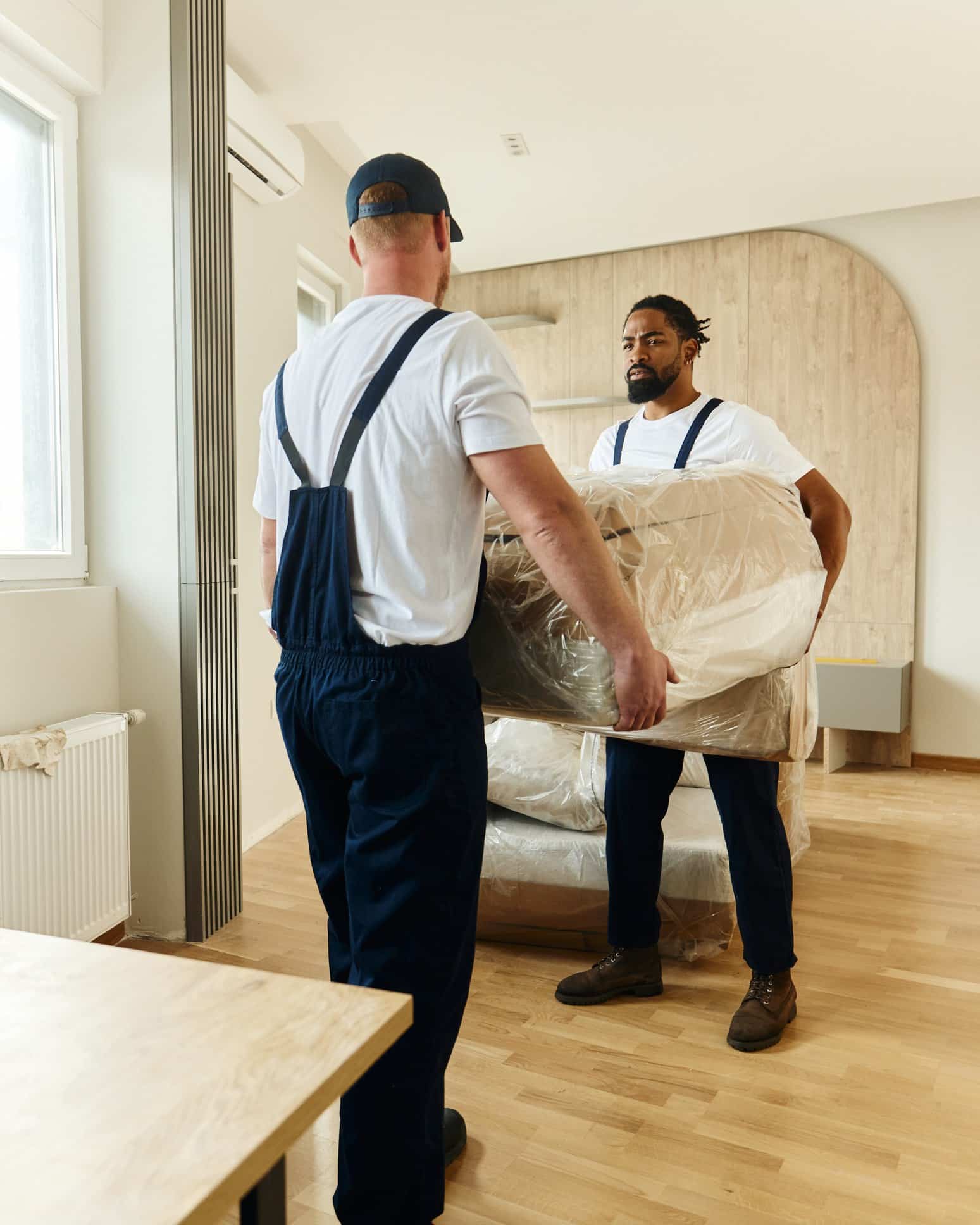 Professionals Moving Furniture